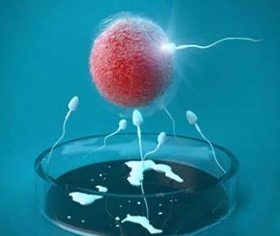 医生